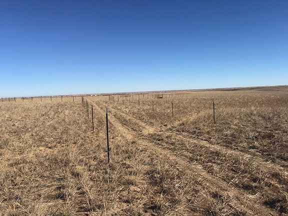 Barbwire Wide Alley to Seperate Pastures and connected to the Center Gathering Pen and down to the Working System and Chute. All Metal Construction by Integrity Welding Service LLC, servicing the Front Range of Colorado.