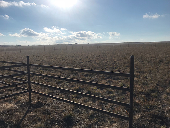 Barbwire tied into a T Brace from 2 3/8" Drill Stem Pipe. All Metal Construction by Integrity Welding Service LLC, servicing the Front Range of Colorado.