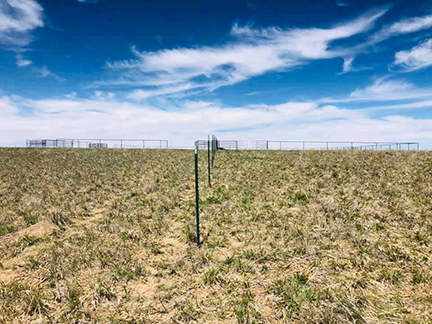 Barbwire and Smoothwire with Drill Stem Pipe Braces. Off of a Center Gathering Pen out of Pipe and Cable.All Metal Construction by Integrity Welding Service LLC, servicing the Front Range of Colorado.