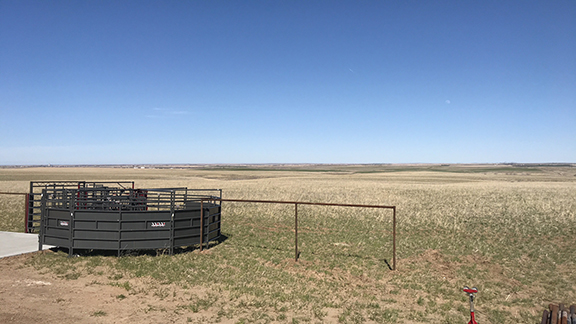 Barbwire Fencing to Pipe Brace Tied into a Cattle Working System. All Metal Construction by Integrity Welding Service LLC, servicing the Front Range of Colorado.