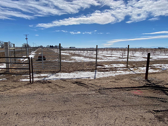Wide Barbwire Gate with 2 3/8" & 4 1/2" Pipe Post Looks Sharp ! All Metal Construction by Integrity Welding Service LLC, servicing the Front Range of Colorado.