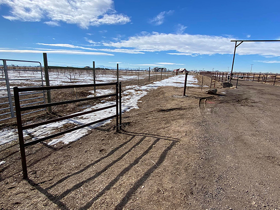 Barbwire Pipe Brace to a 2 3/8" Drill Stem Pipe Post & Wire Gate. All Metal Construction by Integrity Welding Service LLC, servicing the Front Range of Colorado.