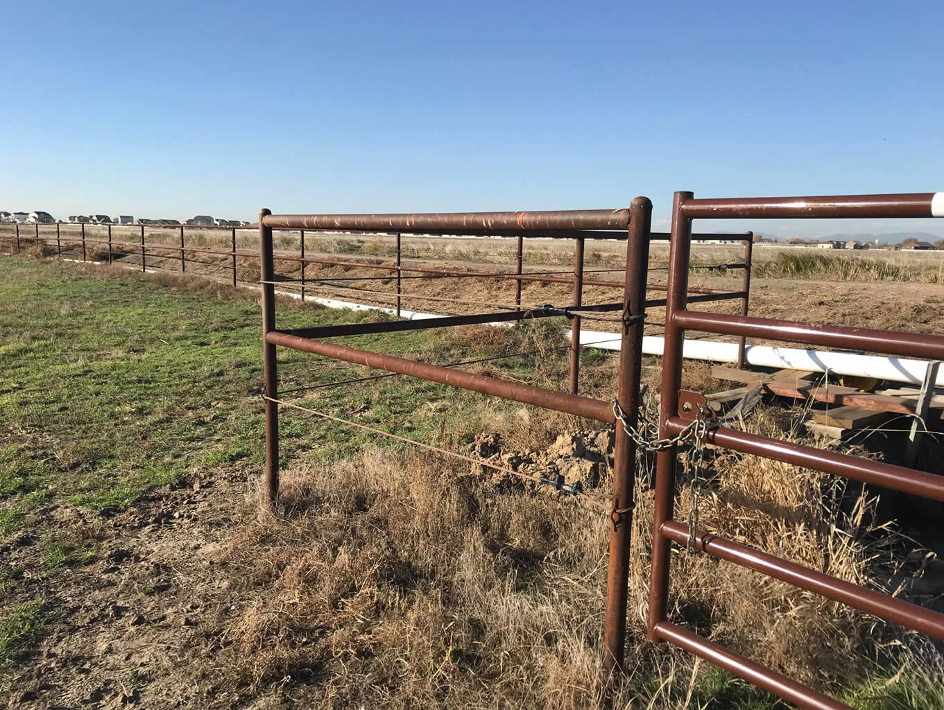 Pipe and Cable Fencing, with 3 Strands of Cable with a Rubrail. Easy to maintain around for mowing & much better than wood if you need to burn your ditch. Constructed by Integrity Welding Service LLC, servicing the Front Range of Colorado.