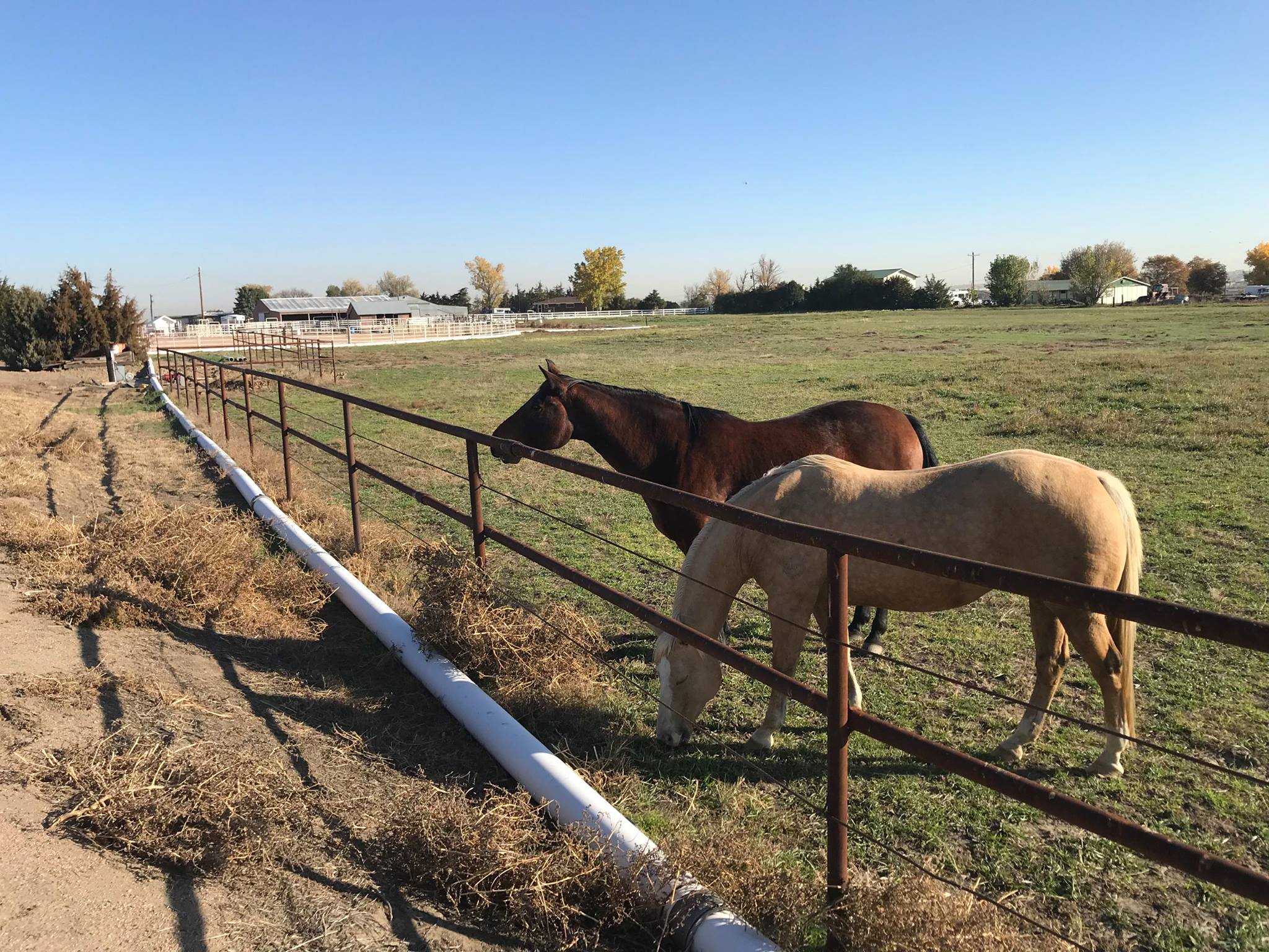 Pipe and Cable Fencing, with 3 Strands of Cable with a Rubrail is shown as Fence for a Horse Pasture. Constructed by Integrity Welding Service LLC, servicing the Front Range of Colorado.