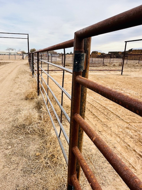 Continous Fence in Cattle Corrals and Wide Alley with Weld on Gates. Construction by Integrity Welding Service LLC, servicing the Front Range of Colorado.