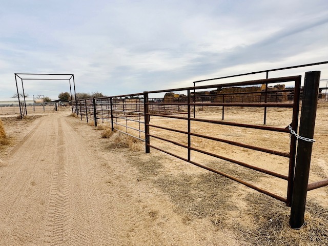 Continous Fence in Cattle Corrals and Wide Alley. 2 3/8" Top Rail and 2 3/8" & 4 1/2" Posts. The 4 1/2" Posts has an elevated Distinct Style but far more durable than wood. Integrity Welding Service LLC, servicing the Front Range of Colorado.