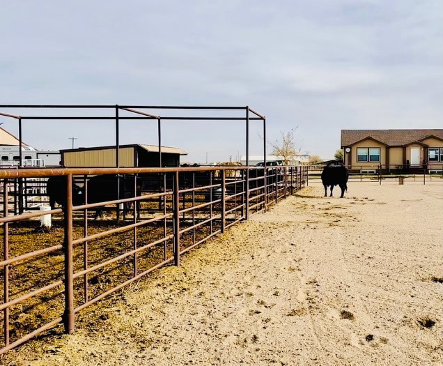 Continous Fence used in an Arena, Fence also Doubles as a Tie Rail for Horses. Construction by Integrity Welding Service LLC, servicing the Front Range of Colorado.